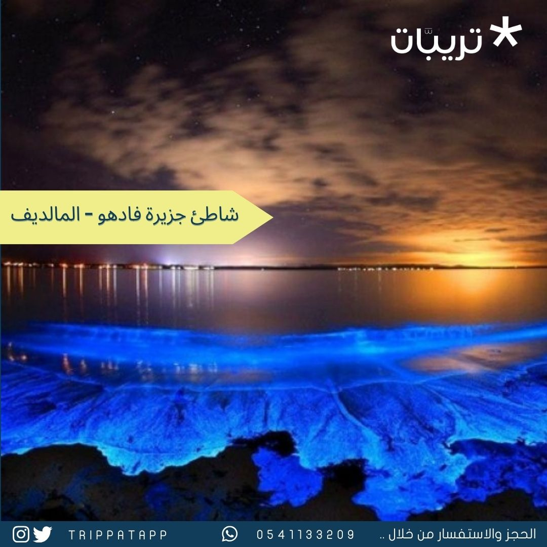 trippatapp's tweet photo. 🪄 إذا لا تؤمن بوجود السحر
بيصير لازم تزور شاطئ جزيرة فادهو في #المالديف 💙
أو "البحر المتوهج ✨

✨الشاطئ ليلا يتحول لنجوم مضيئة ✨
بتشوف اللون الأزرق  المضيء 🔵✨ على رمل الشاطئ 🏖

وهذي الظاهرة تصير نتيجة وجود عوالق نباتية 🌱 في مياه المحيط
✨ تتوهج ليلا مع حركة الأمواج ✨ https://t.co/DgpqMMzTVG