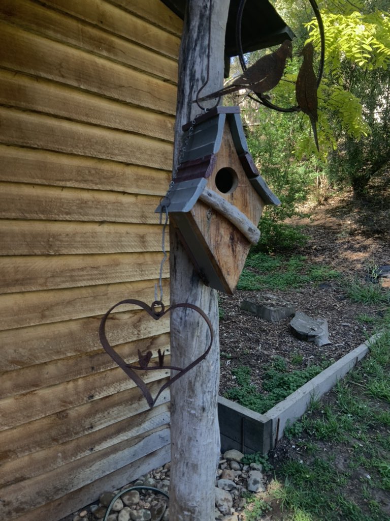 Mr. Twenty Twenty tweet media