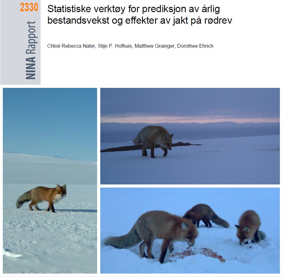 Ny rapport: Statistiske verktøy for prediksjon av årlig bestandsvekst og effekter av jakt på rødrev. #rødrev #predatorkontroll #populasjonsmodell hdl.handle.net/11250/3094955