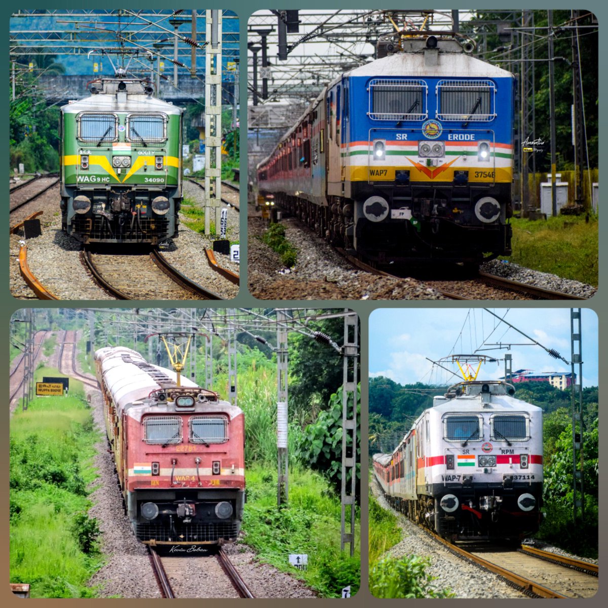 drm_tvc's tweet photo. Stunning captures of trains &amp; locomotives across scenic landscapes #Kerala #railways.

📸 Ananthu R, Kevin Boban
#RailFanClick #TrainSpotting #IndianRailways #Locomotive #locolivery #SpecialCampaign3 https://t.co/iPjT8bYnPf