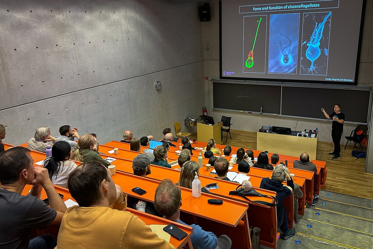 Michael Sars Centre (@msarscentre) on Twitter photo Presenting at the BBB seminar organized by the Dept. of Biomedicine, <a href="/Pawel_Burkhardt/">Pawel Burkhardt</a> shared fascinating insights from his group on the evolution of first neurons and brains to a packed auditorium hosted by <a href="/Halberglab1/">Halberglab</a> @medofak_uib <a href="/UiB/">Universitetet i Bergen</a> ✨👏 Presenting at the BBB seminar organized by the Dept. of Biomedicine, <a href="/Pawel_Burkhardt/">Pawel Burkhardt</a> shared fascinating insights from his group on the evolution of first neurons and brains to a packed auditorium hosted by <a href="/Halberglab1/">Halberglab</a> @medofak_uib <a href="/UiB/">Universitetet i Bergen</a> ✨👏