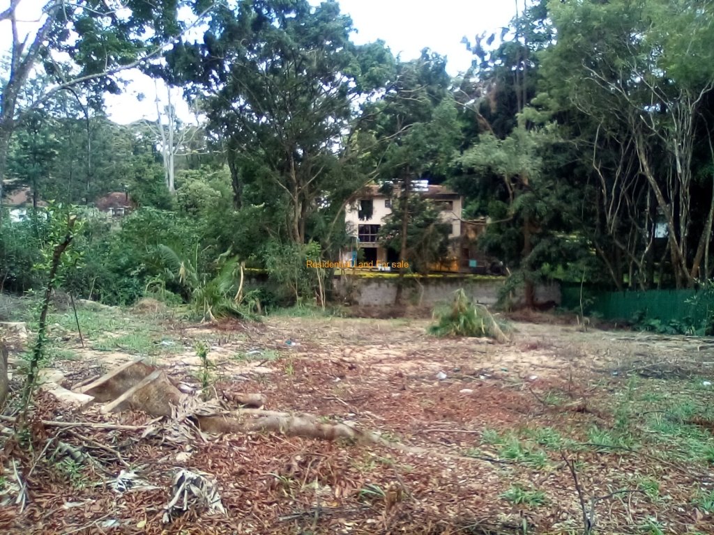 SimkarGroup's tweet image. 0.78 Acre Plot For Sale in Lavington

Please see more details on our website using the link below: bit.ly/46BlxoZ

Call us at 0728 990415 and or +254 773 587 407

#propertiesinlavington 
#Propertiesforsale