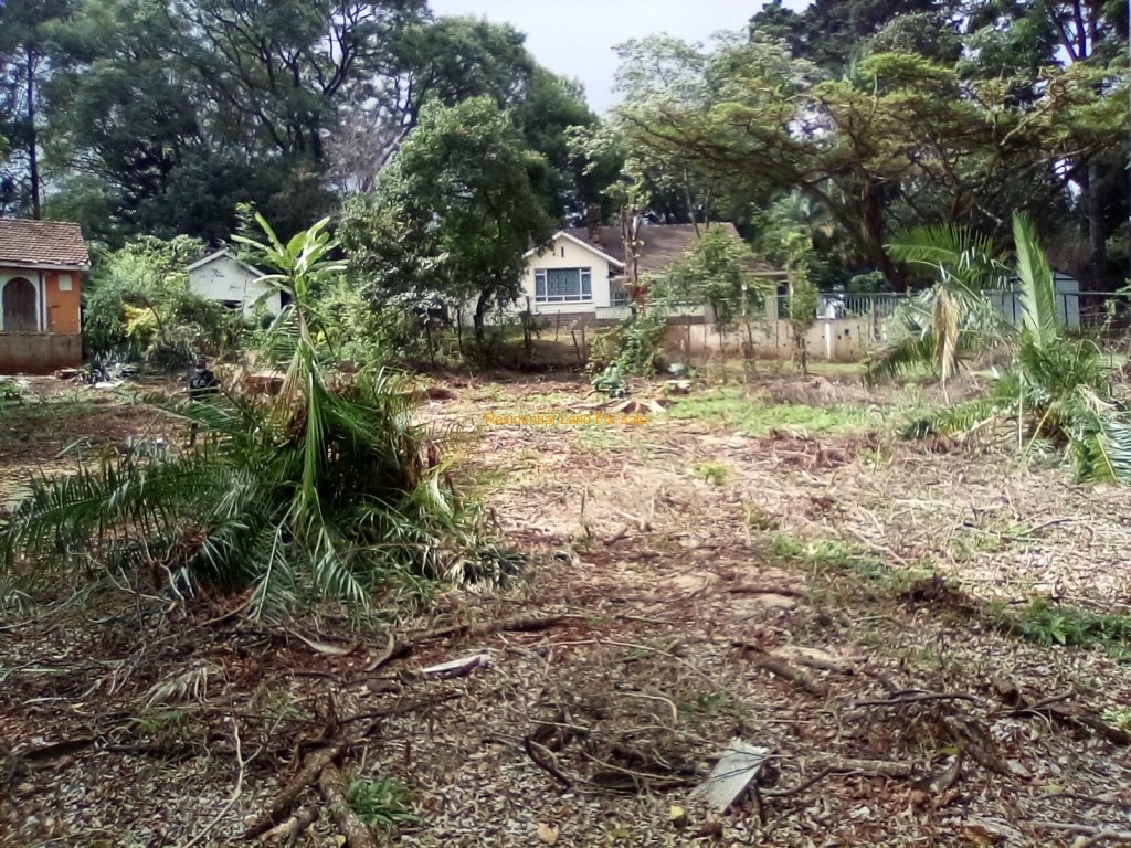 SimkarGroup's tweet image. 0.78 Acre Plot For Sale in Lavington

Please see more details on our website using the link below: bit.ly/46BlxoZ

Call us at 0728 990415 and or +254 773 587 407

#propertiesinlavington 
#Propertiesforsale