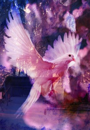 CorellaTej7982's tweet photo. #paz #peace #PeaceNotWar #PeaceNotWars #PeaceAndLove #peaceispossible #lapazesposible #PazMundial #PazEnElMundo 🕊️🌹🩷✌️ #felizfinde https://t.co/Fg081wOzZN