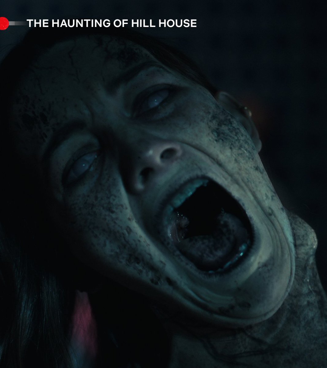 Shh they’re communicating

#TheFallofTheHouseofUsher #TheHauntingofHillHouse #MikeFlanagan #Horror #Netflix