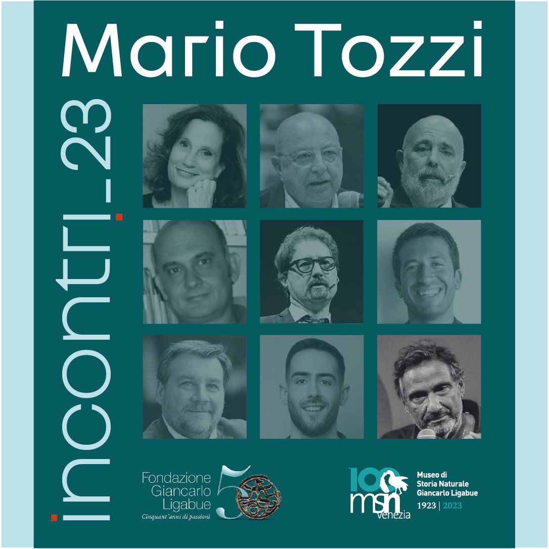 MSN Venezia tweet media