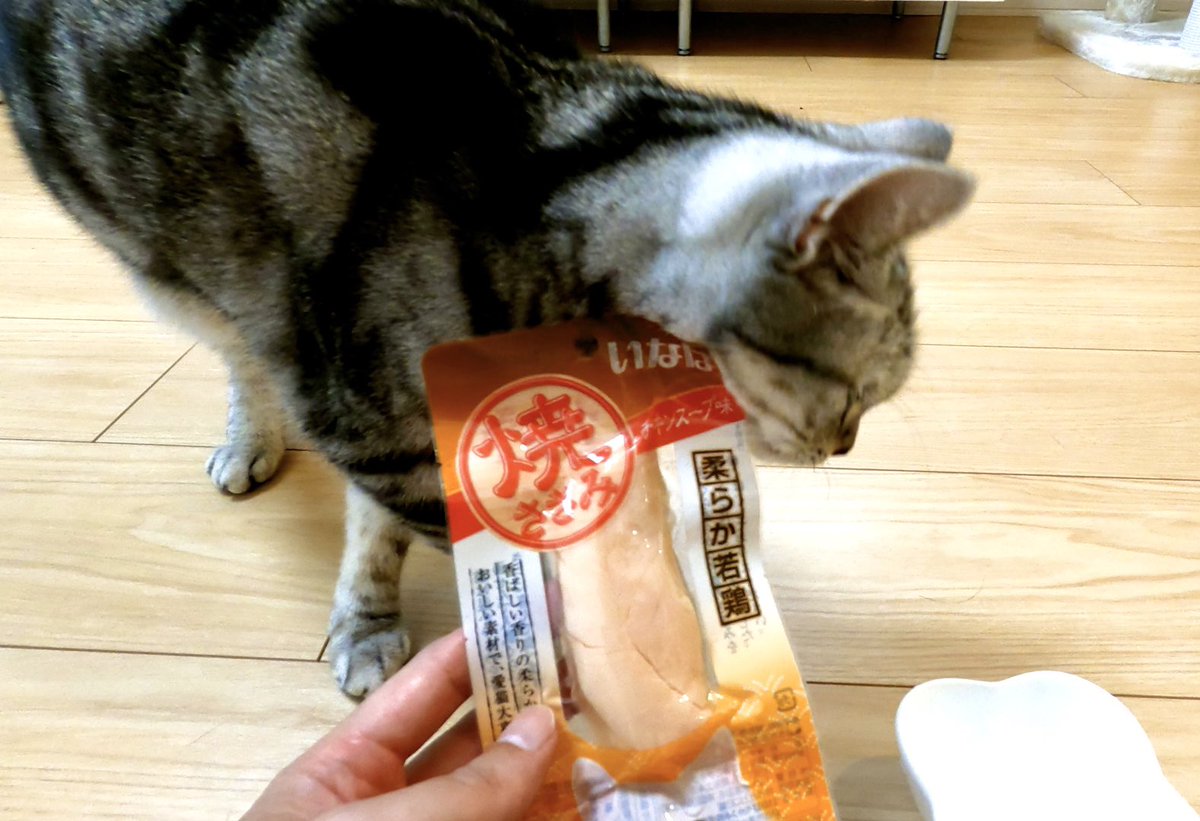 ameshoconnie's tweet photo. 焼ささみにすりすりしてる😊🐱✨ https://t.co/TSHKeWRsvZ