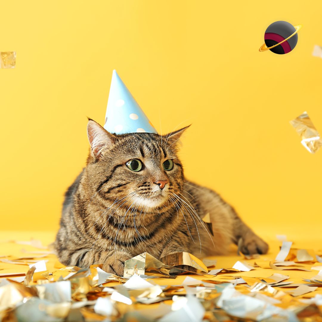 amaSocialSA's tweet image. Blog Post | 🎉 Are your events as great as you think they are? Check out why you should be tracking your events online to ensure that you’re the host with the most! #EventTracking #SocialMediaMonitoring amasocial.co.za/blog/three-rea…