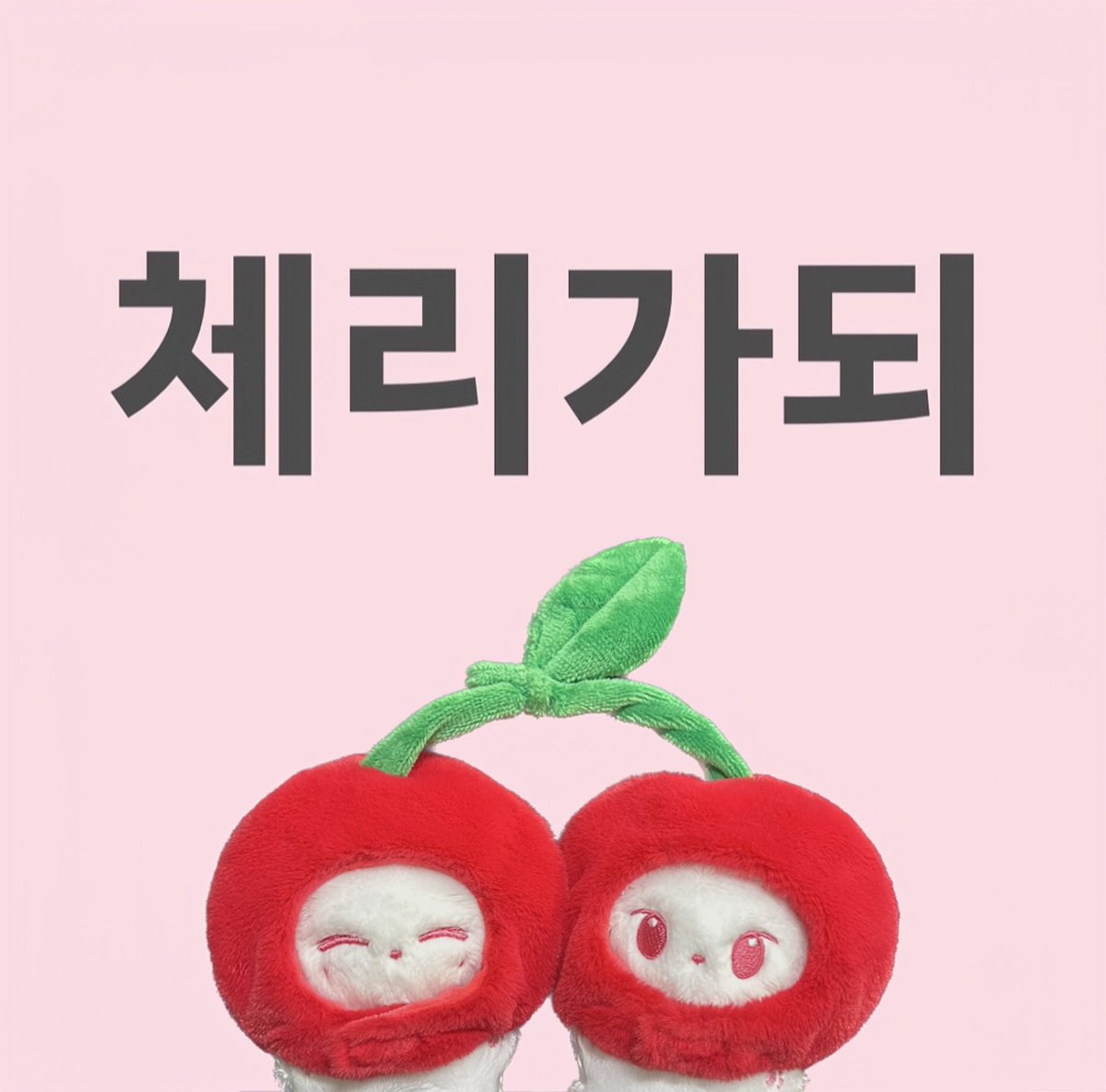 cherrycherryz_'s tweet photo. 🍒체리봉봉즈 배송 공지🍒

체리잰 체리또는 10/30부터 순차적으로 출고될 예정입니다!
출고가 시작되면 다시 한번 공지하겠습니다—̳͟͞͞♡ https://t.co/FllLvRKZPp