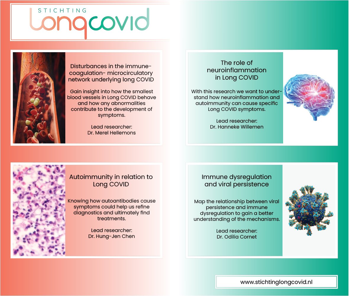 Today the Dutch @StLongCovid published which 4 research projects they funded. Behind the scenes, the Stichting LC has been very busy achieving this result. They helped bring together researchers from 5 different university medical centers in the NL to collaborate. #LongCovid