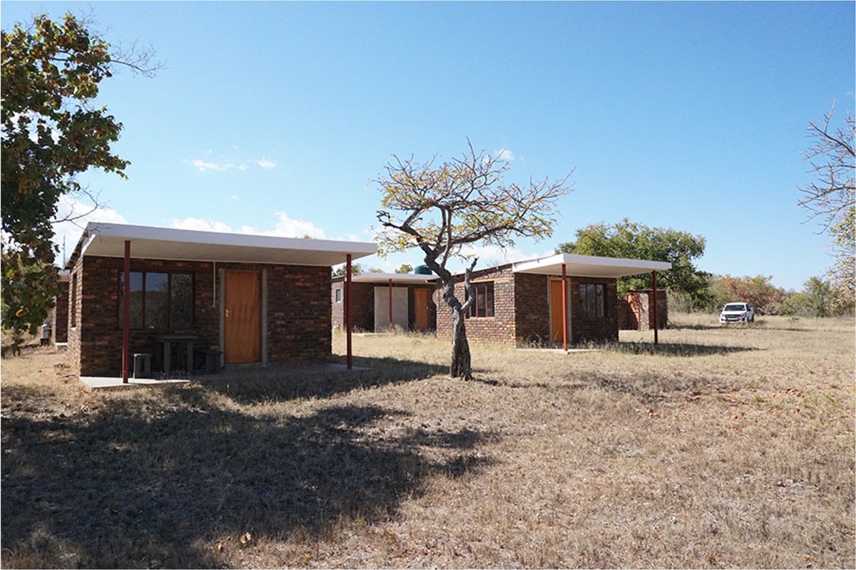 Dr Chris Young tweet media