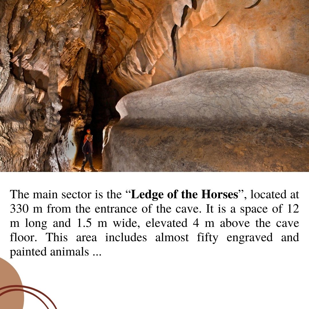 PreGraphity's tweet image. 🗺️In this work, made within the framework of the project financed by @BizkaiaKultura (@Bizkaia), a study was carried out in #Atxurra cave, which consisted of the #Interdisciplinar research in the #LedgeOfTheHorses, a very magic site located deep in the cave... 🐴