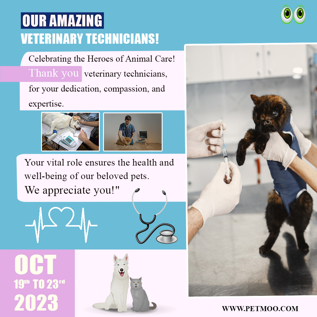 petmoo_tweets's tweet photo. Veterinary Technician Week 19th To 23rd 2023
#petmoo #pets #dogs #cats #petcare #petowners #vet #veterinary #veterinarytechnicianweek #veterinarytechnician #veterinarytechnicians https://t.co/yjO75J66tV
