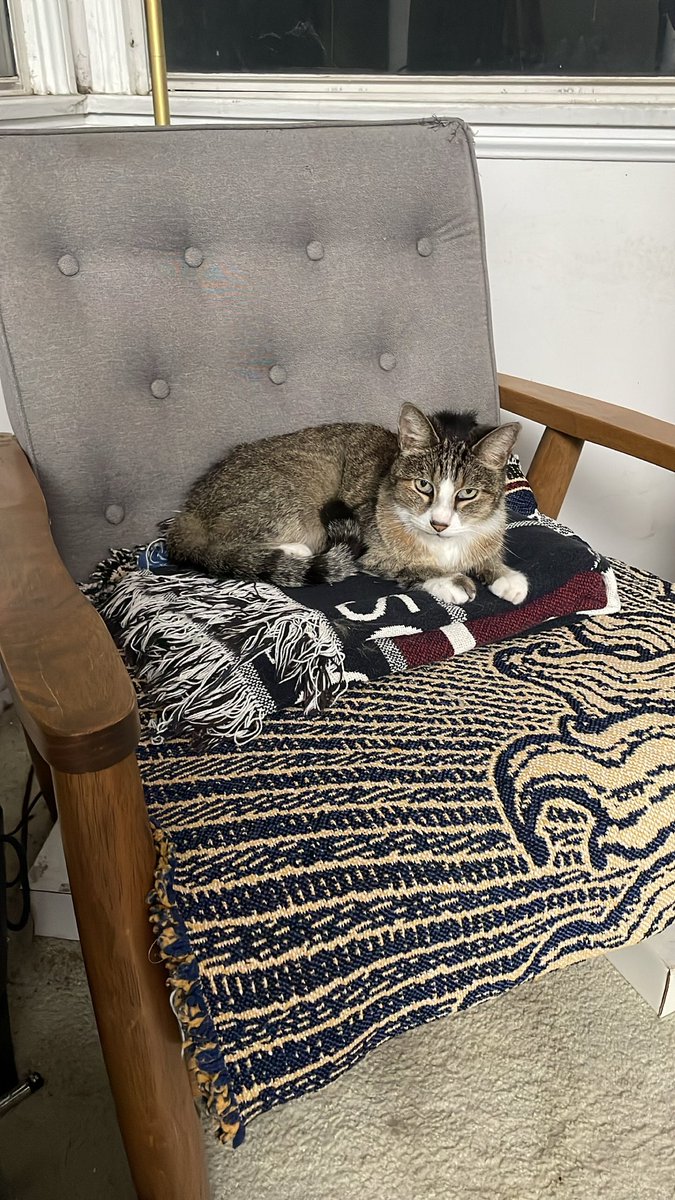 Often times when I’m taping an audition at home, Charlotte is in this chair, so I like to joke that she is the producer. She’s very good at her job!