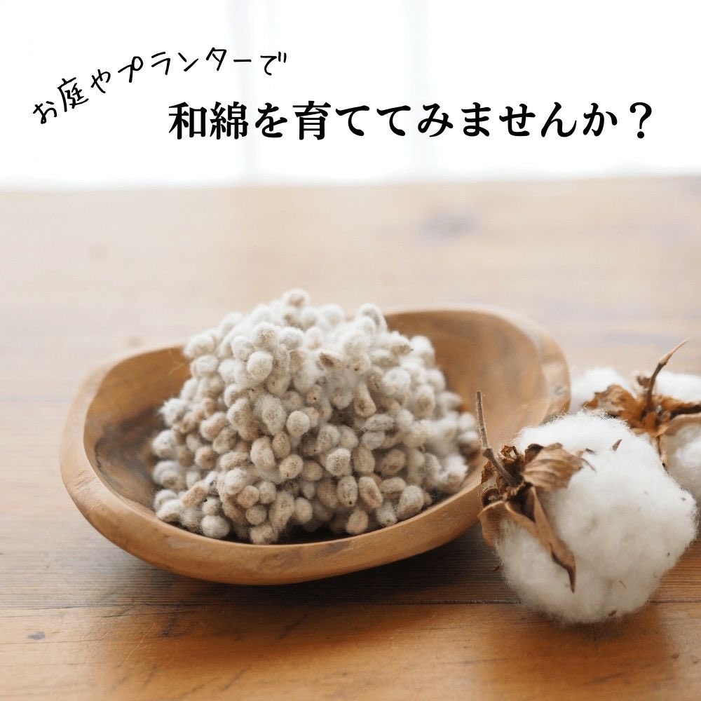 前田剛 tweet media