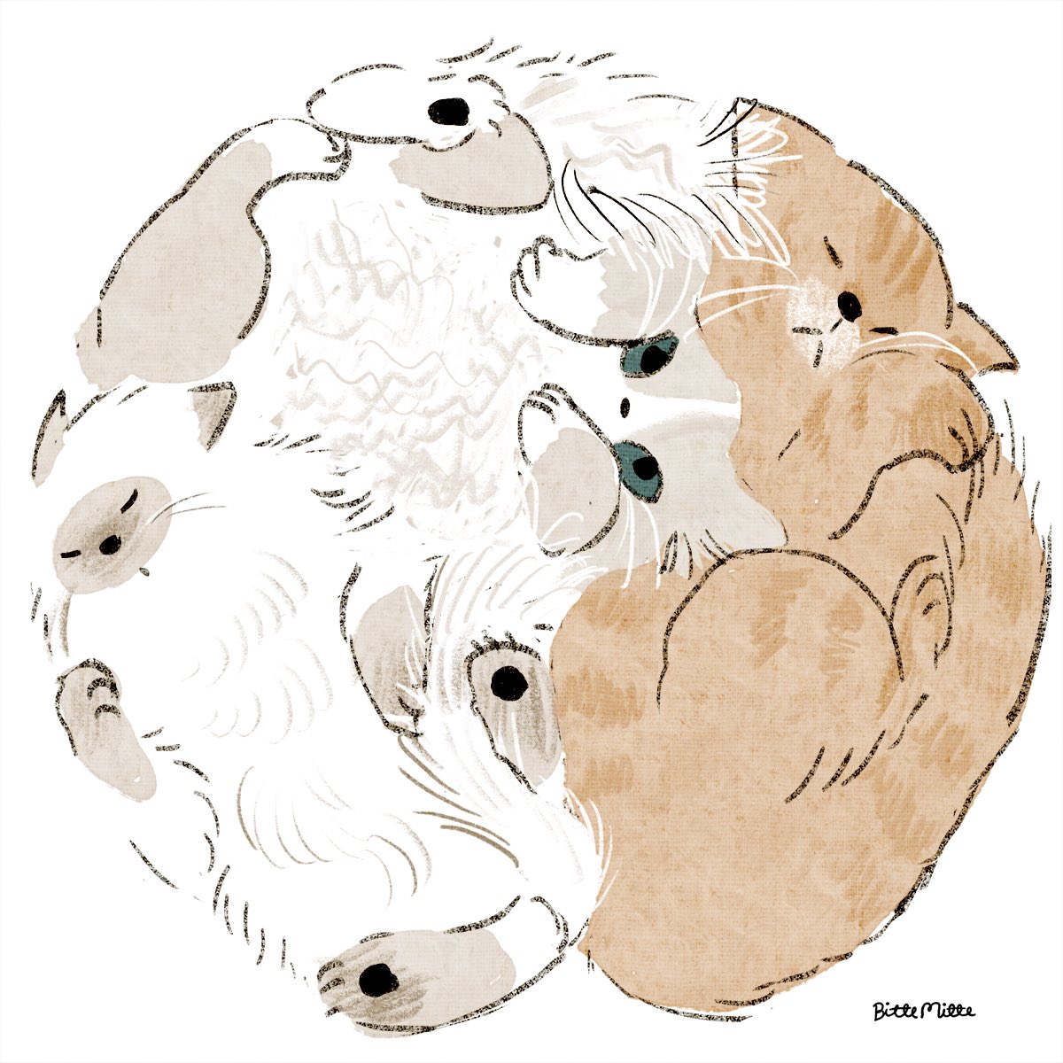 「猫」|ももろ　4／20発売絵本「パンダのパクパクきせつのごはん」のイラスト