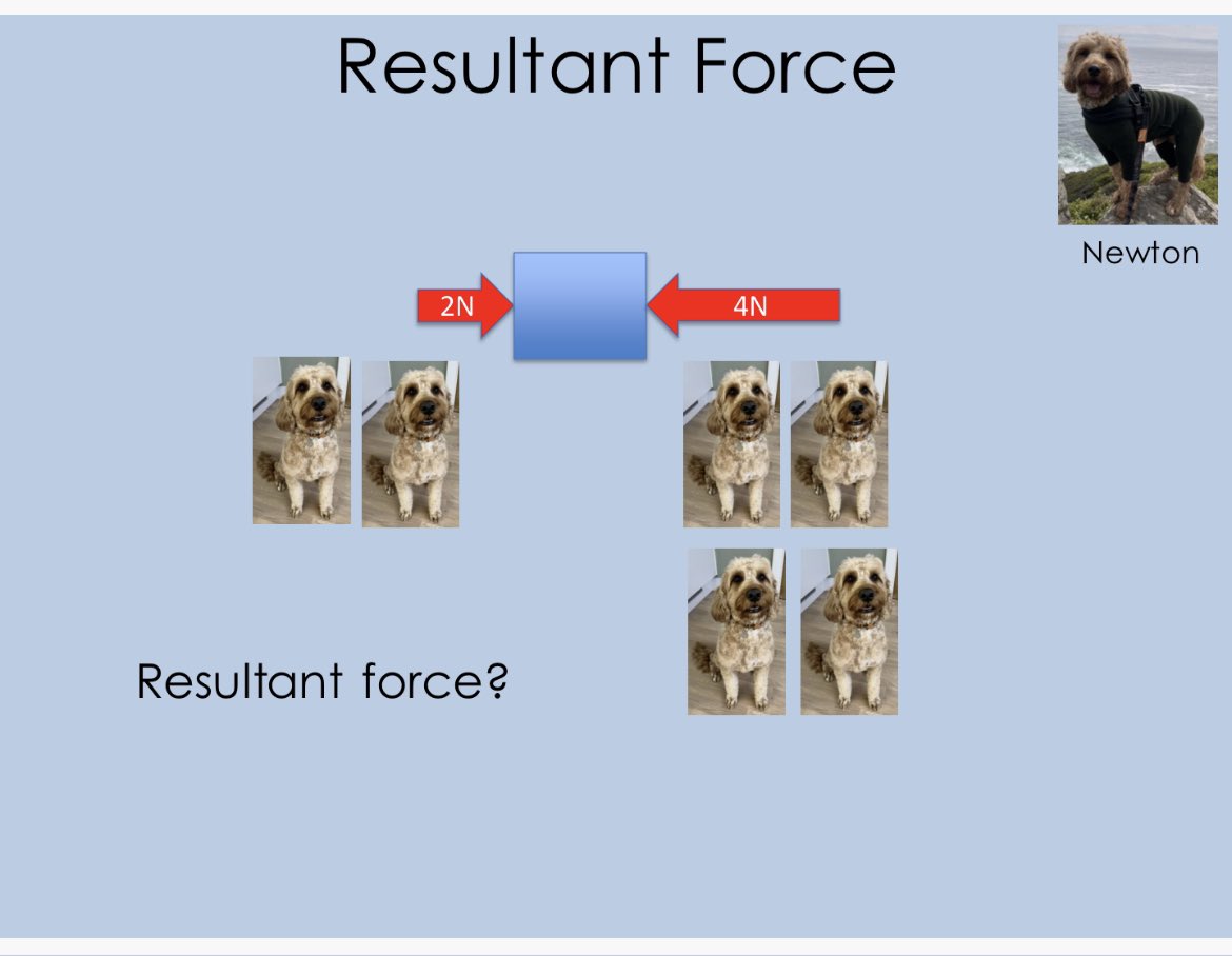 Dual coding? Completed it mate 🤣🤣 #edutwitter