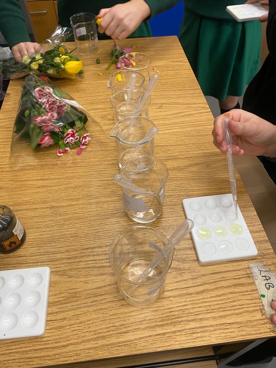 Shinelisa's tweet image. Thanks @Mikekav66 for the idea of making acid-base indicators from flower petals. Tried it with 3rd year Science for revision of pH, indicators and separation techniques. Great activity! #jcscience