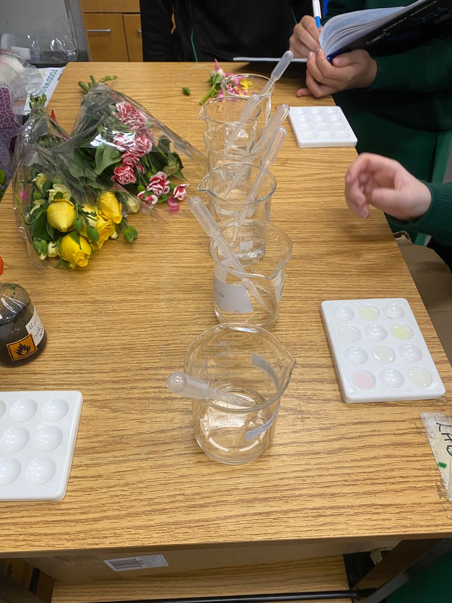 Shinelisa's tweet image. Thanks @Mikekav66 for the idea of making acid-base indicators from flower petals. Tried it with 3rd year Science for revision of pH, indicators and separation techniques. Great activity! #jcscience