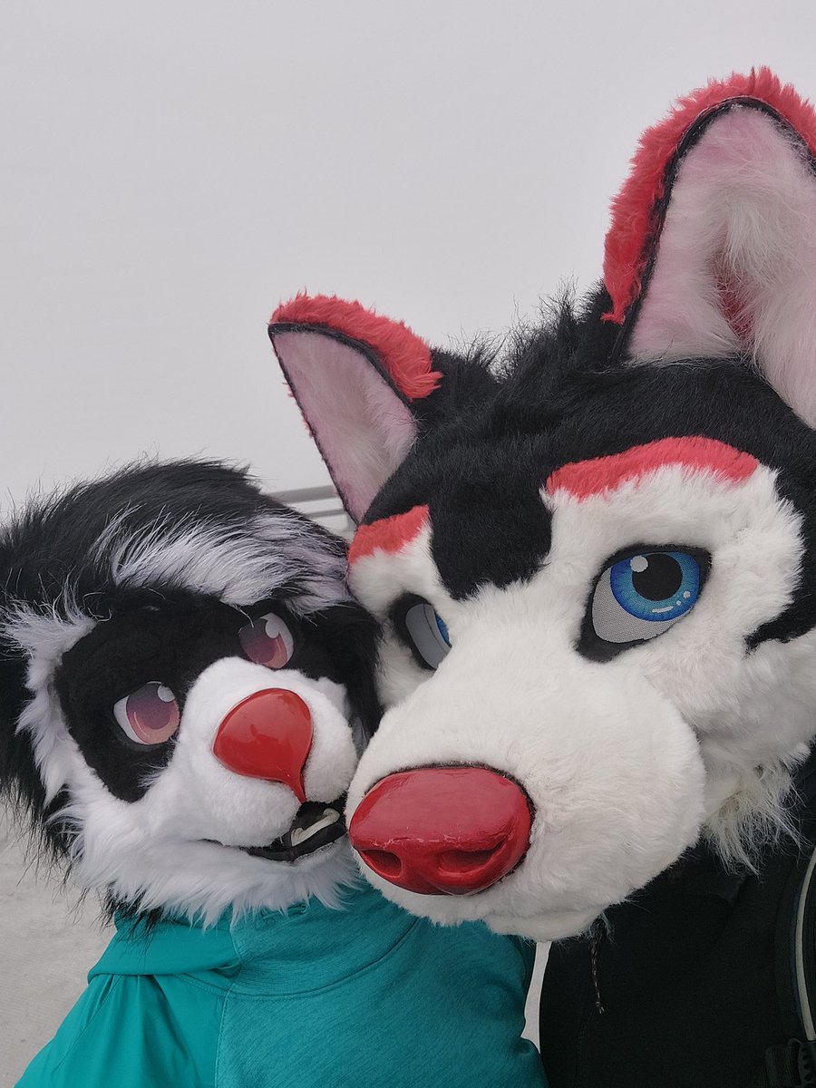 Taiwan mountains! #FursuitFriday 🖼 @wolfnightsky , his gf