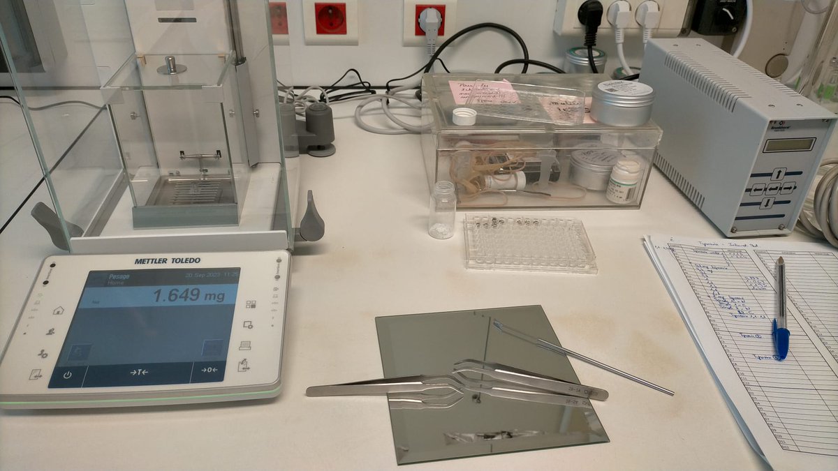 Nuevos modelos de compostaje en economía circular tweet media