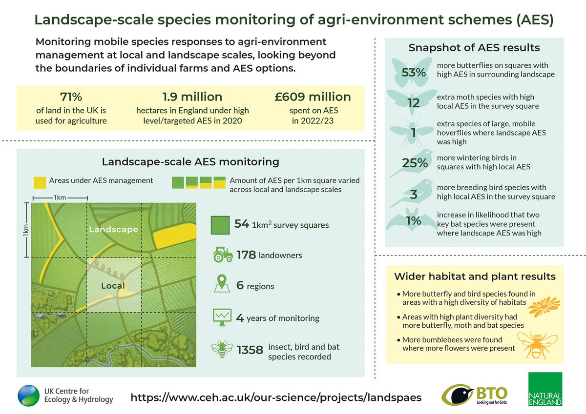 Landscape-scale species monitoring of agri-environment schemes: LandSpAES baseline report now published, testing agri-env management at local and landscape scales 

1358 species of butterflies, moths, pollinators, birds &amp; bats recorded over 4 years at 54 survey squares 🦋🦇🐦‍⬛🐝