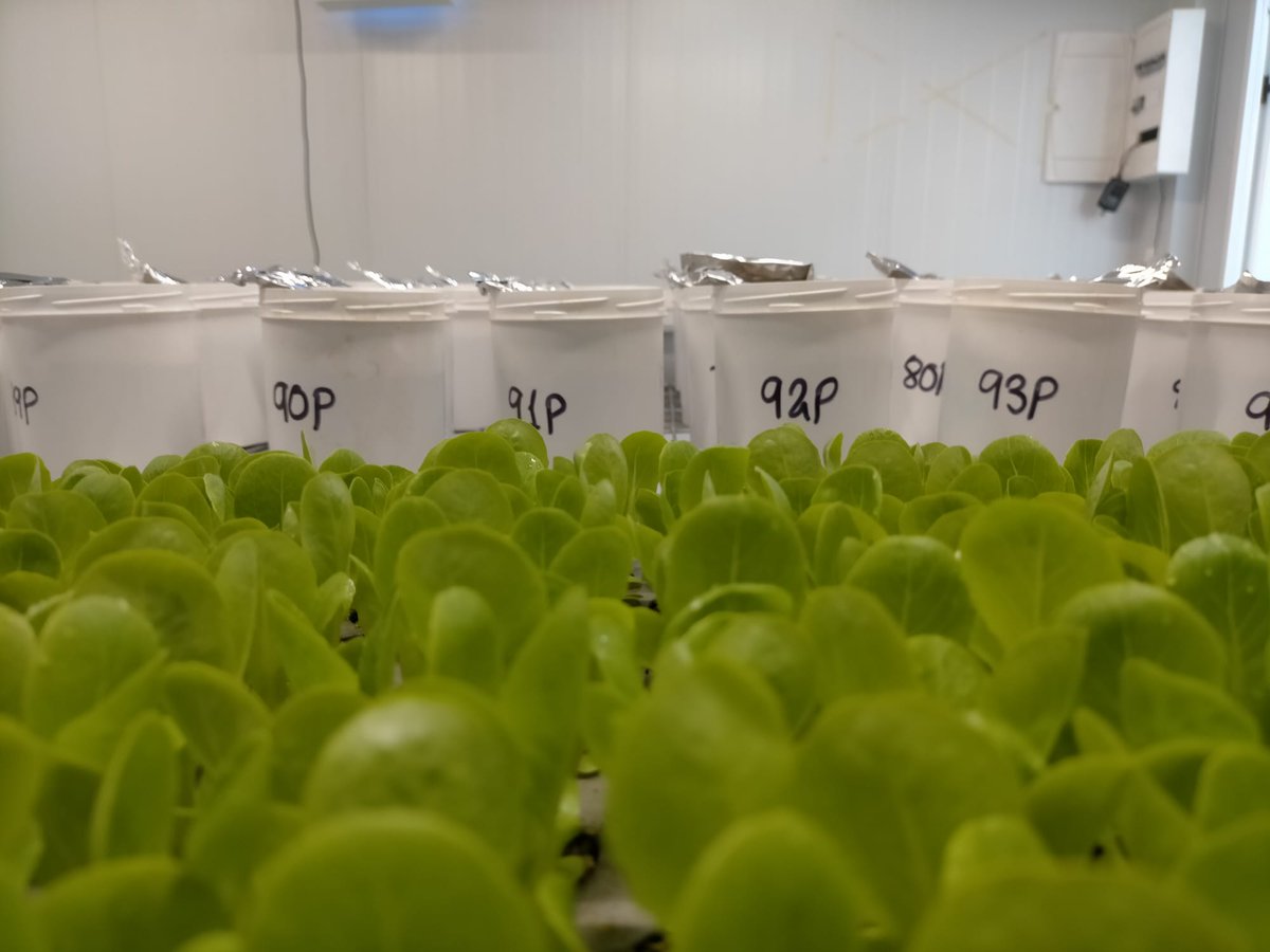 Nuevos modelos de compostaje en economía circular tweet media