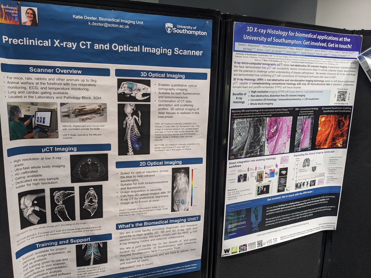 We are here at #Soton3Rs2023 with the @BIUSoton team! Come talk to us to find out more about #PreclinicalResearch and xrayhistology.org

Look out for @dexter_kt & @katsamenis

@UHSFT @unisouthampton @nxrayct
