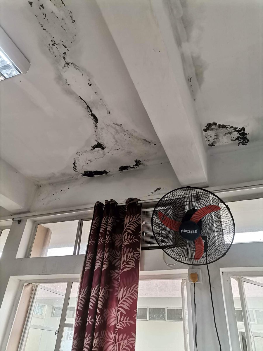 Voici Salle de Classe, le nouveau quotidien de l'Education Nationale