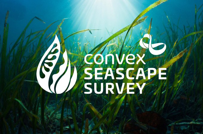 @ExeterGeography are advertising two roles with @ConvexSeascape working on tracing the origin of blue carbon in near-shore marine sediments! 🌊 ➡️ Fully-funded #PhD: exeter.ac.uk/study/funding/… ➡️ #Postdoctoral research fellow: tinyurl.com/mr2yu3mf Please share & RT! 🔁