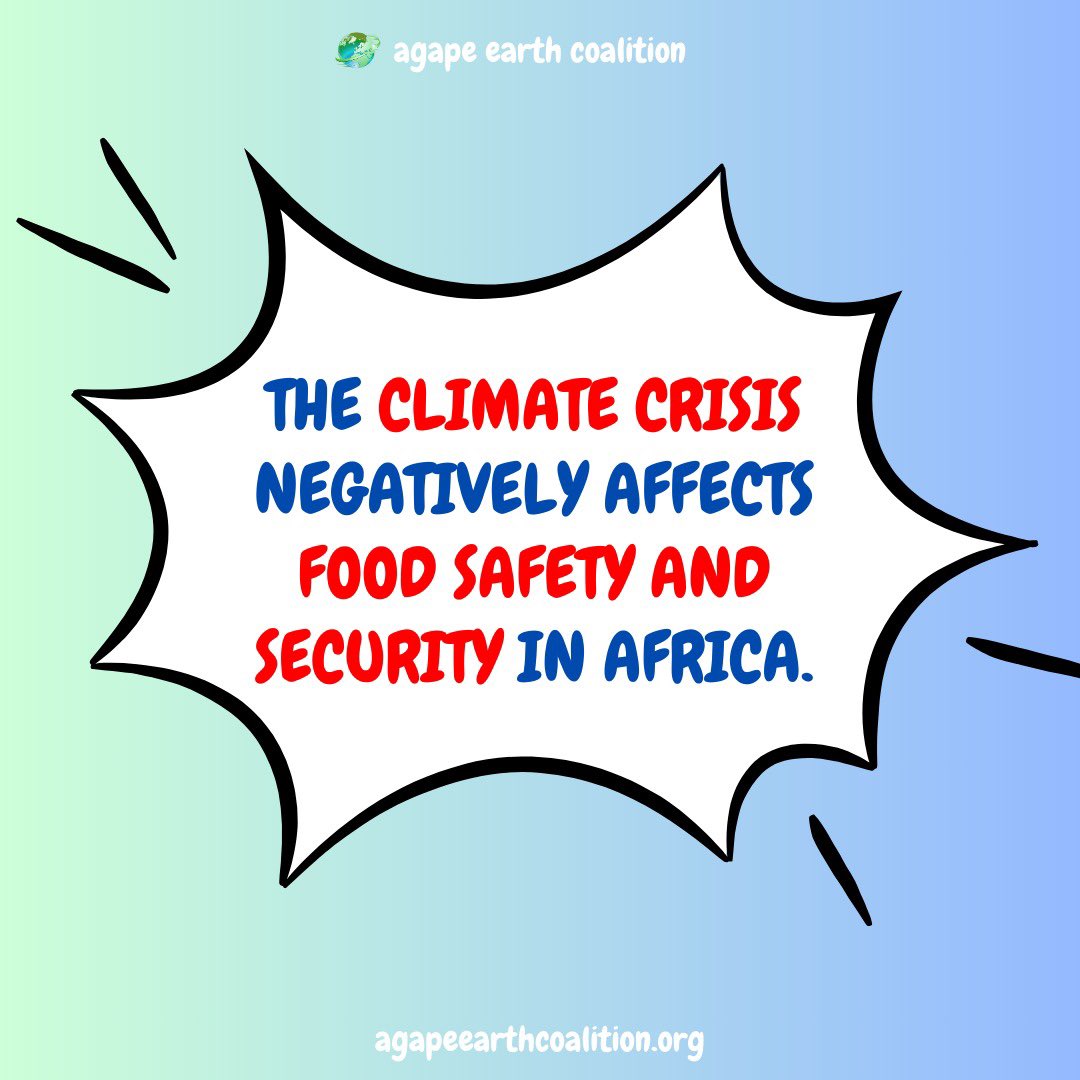 The climate crisis negatively affects food safety and security in Africa. 

#AdaptationInFocus
#IMFWorldBankMeeting
#COP28UAE