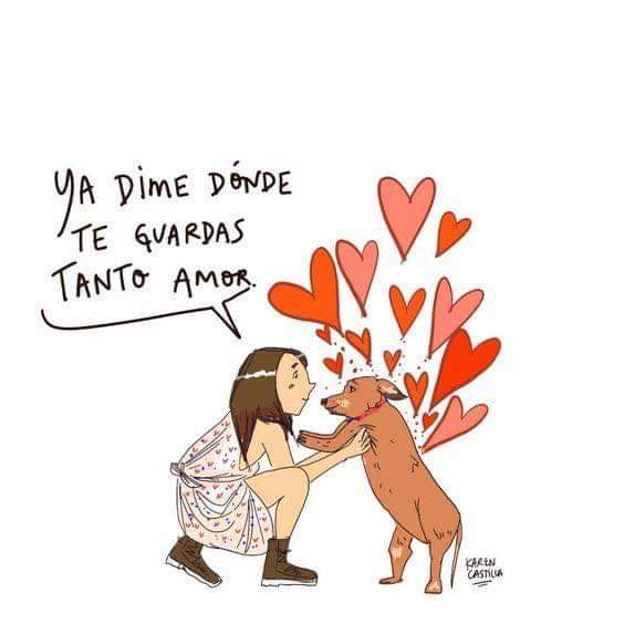 DMansoMartin's tweet image. #perro #amor #guardar