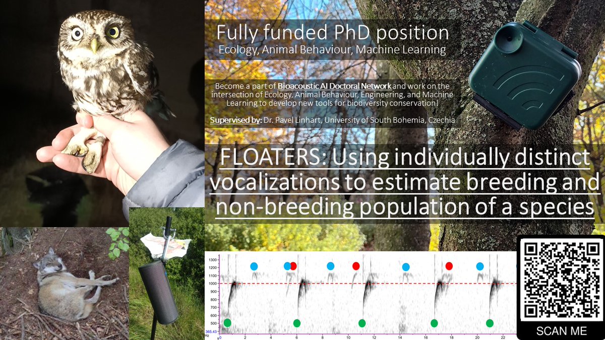 📢10 days left to apply for fully funded 'FLOATERS' position within Bioacoustic AI Doctoral Network! Details: shorturl.at/gqAQ5 
#PhDposition #Bioacoustics #Ecology #AnimalBehaviour #MachineLearning #Biodiversity 
BioacousticAI: bioacousticai.eu