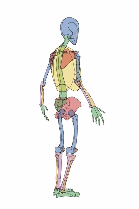 講習会で骨の探し方と描き方を伝えたら、上手に描いてくださる人が出てきて、ちゃんと伝達可能な技術だなと思いました。 