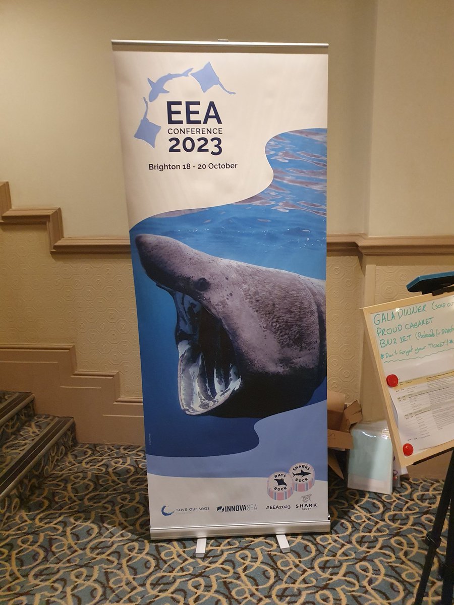 PolCa98's tweet image. ¡Último día! 🤗🦈

#EEA2023 #Ciencia
