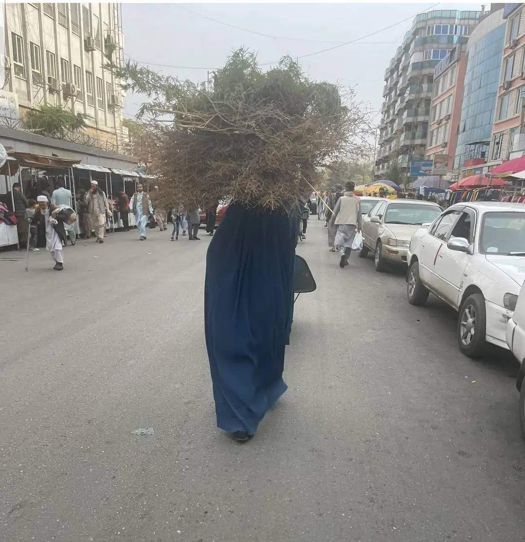 T0BHDHkursJX5Zw's tweet photo. "هیڅ کله دا څرګنده نۀ شوه چې دا وطن خرڅ چا کړ، مګر تل دا ښکاره وي چې قیمت یې څوک ورکوي"
#OurLifeMatters https://t.co/1F3wZF79ZA