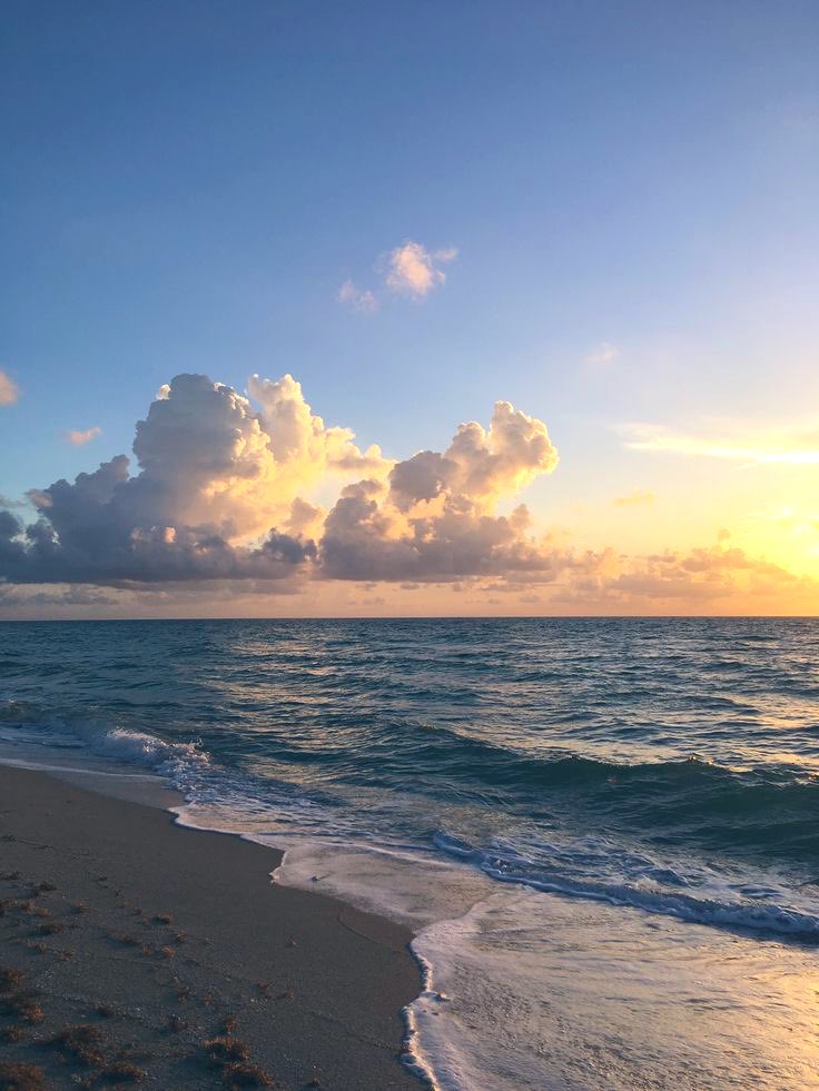 ⠀⠀ ⠀⠀⠀ 

            sns update   𓈀  bellabubbles.⠀ 
            a good vacay but I miss home…
            (pls don’t tell my sisters)

ㅤㅤㅤㅤㅤ