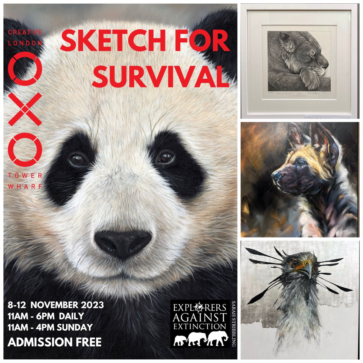 Annual charity fundraising art/image auction featuring established artists & amateurs is now open! Ends 12 Nov. …plorersagainstextinction.irostrum.com
Exhibitions in Edinburgh @DundasStGallery 26-29 Oct & London @OxoTowerWhrf 8-12 Nov.
#sketchforsurvival 
Please look/share/support if you can🙏
