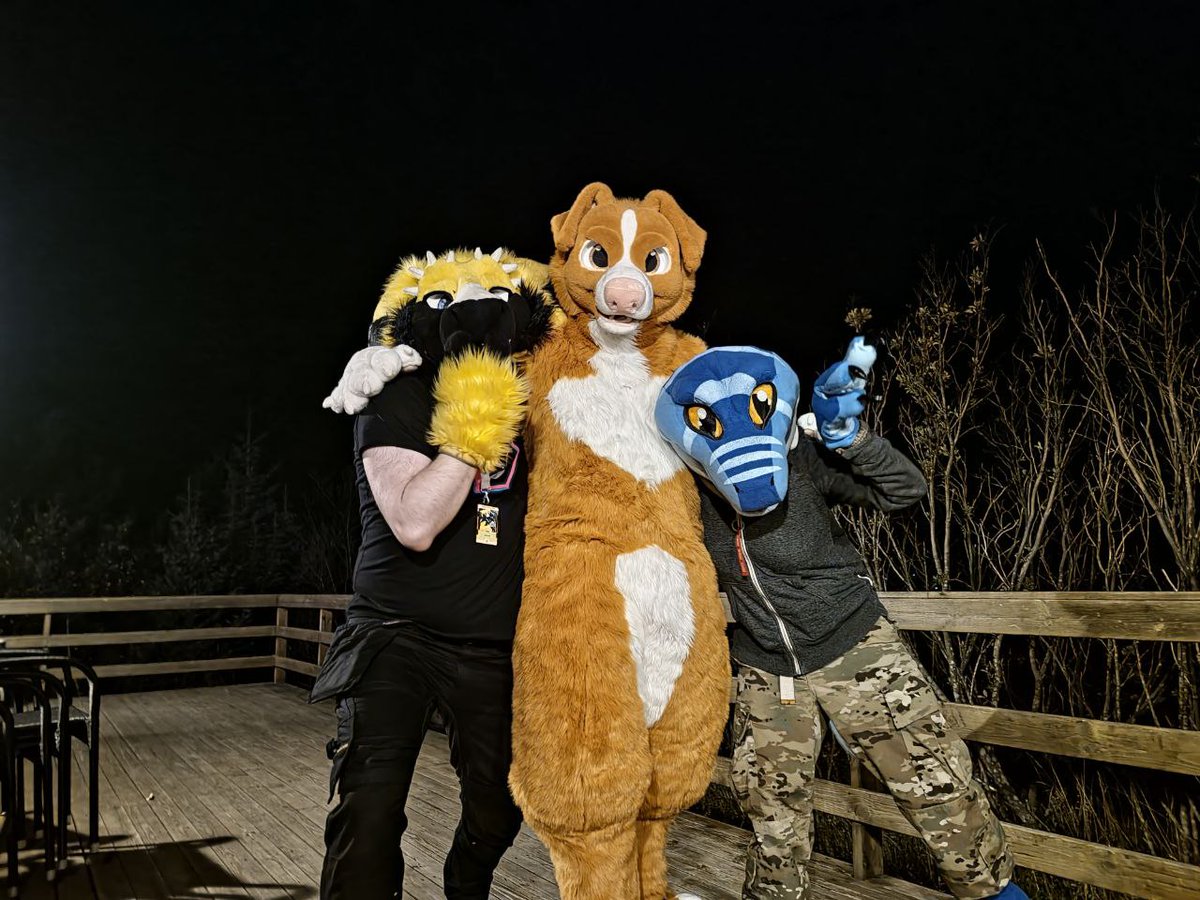 MadDogEleven's tweet image. #FursuitFriday while at #IFC2023! With the awesome Lemonjacked dressed up as Hazard, Bardolph, and then me, as the smol blue raptor.