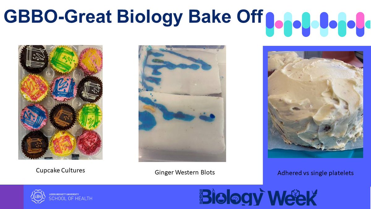 As tradition for Biology Week, staff and PhD students took part in GBBO – Great Biology Bake off! Our winners were – Circular RNA cupcakes, Conical flask cookies and Halloween eyeballs. Thanks to all for baking, scoring, or eating the bakes! Same again next year! #biologyweek2023