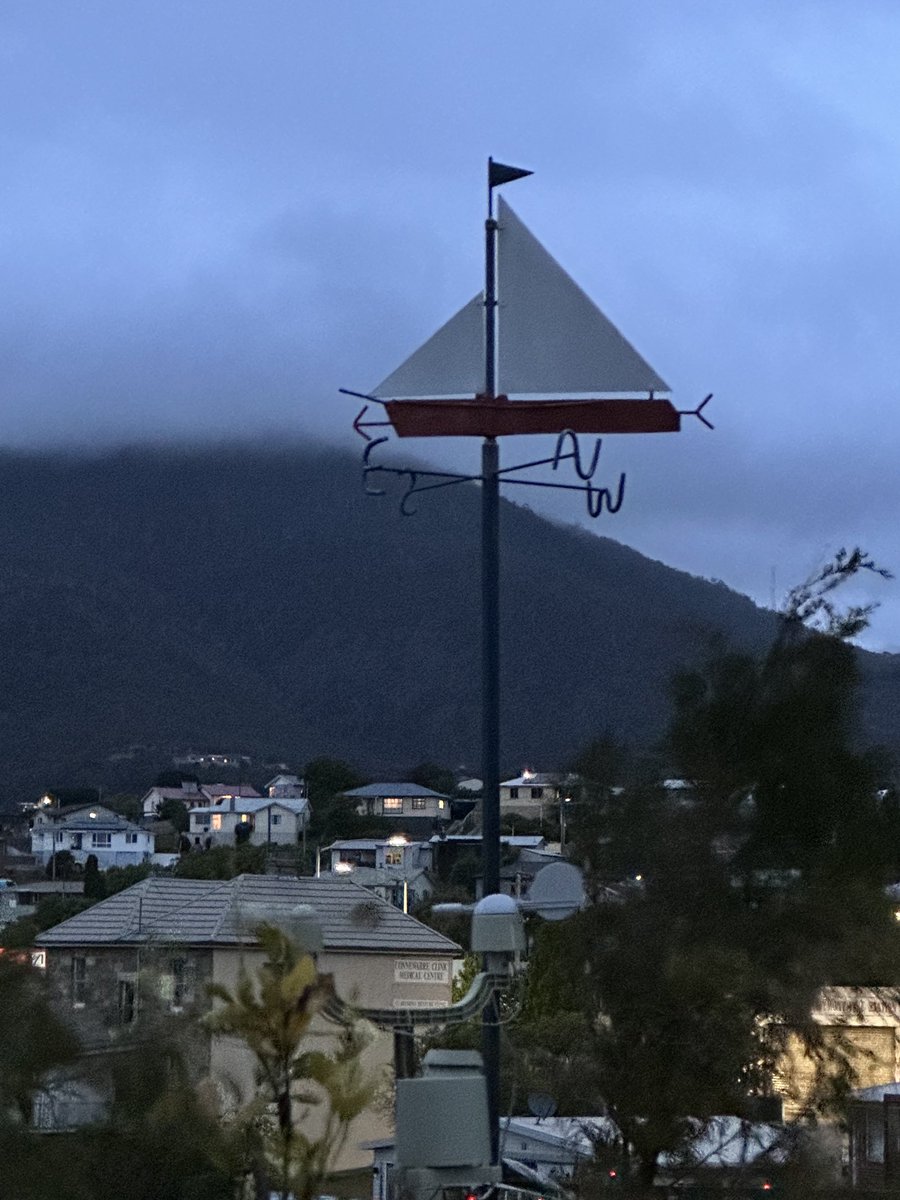 Sally Westcott 🇺🇦 tweet media