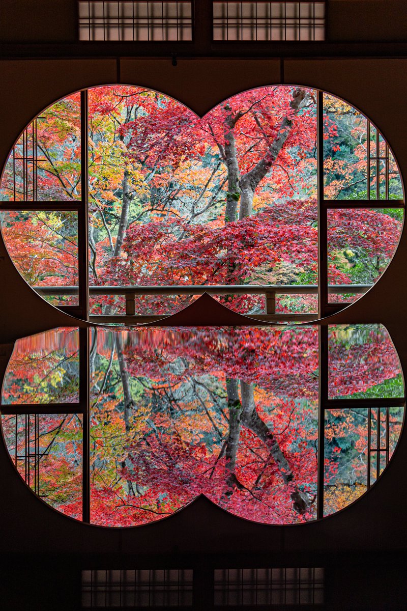 yuiphoto2's tweet image. 窓いっぱいに広がる秋が美しい