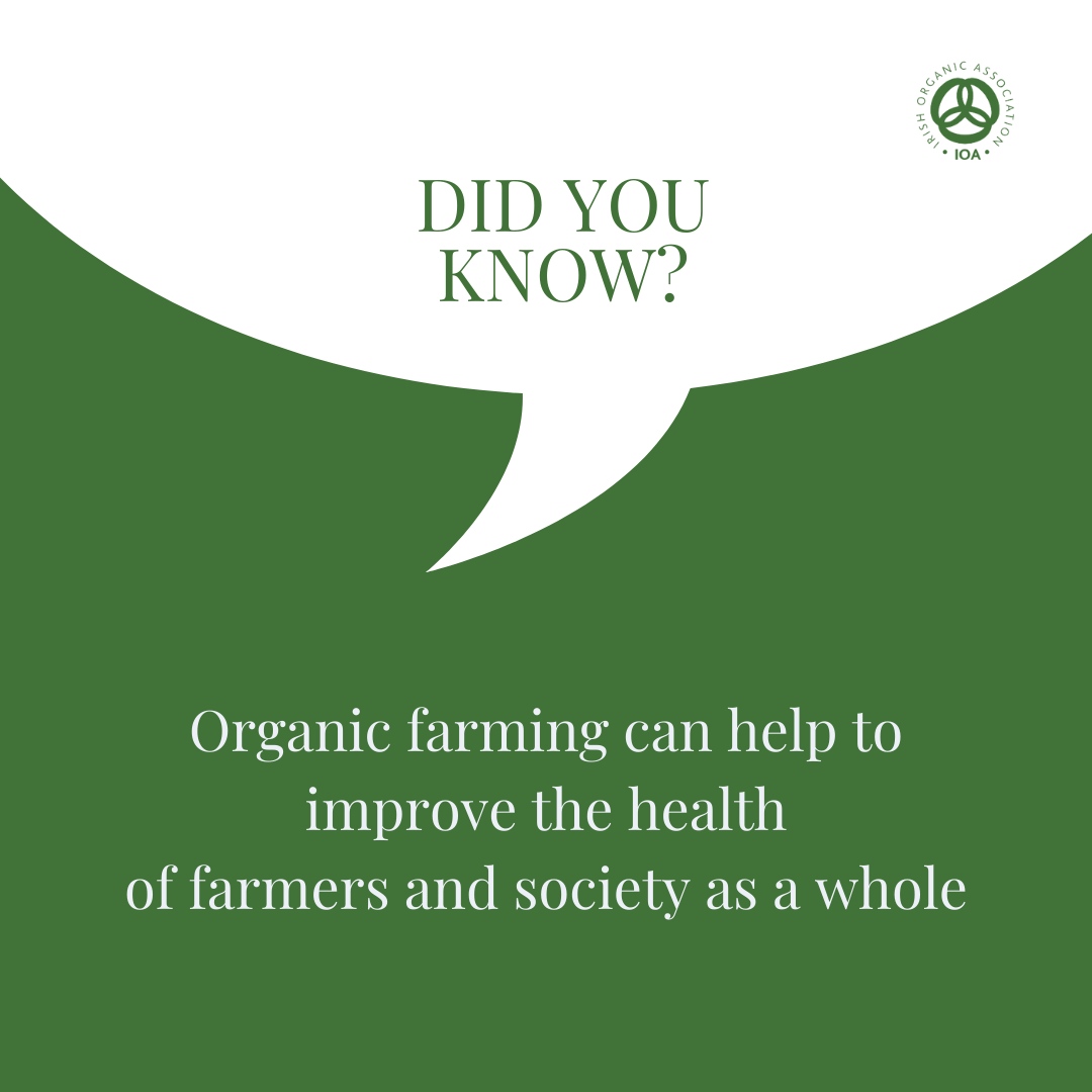 IrishOrganicA's tweet photo. Interested in Joining the Irish Organic Association and applying for the Organic Farming Scheme, visit our dedicated webpage 👉️https://t.co/L4yzoepfyU

#demandorganic #ioamembers #organicireland https://t.co/KoGMnkd6up