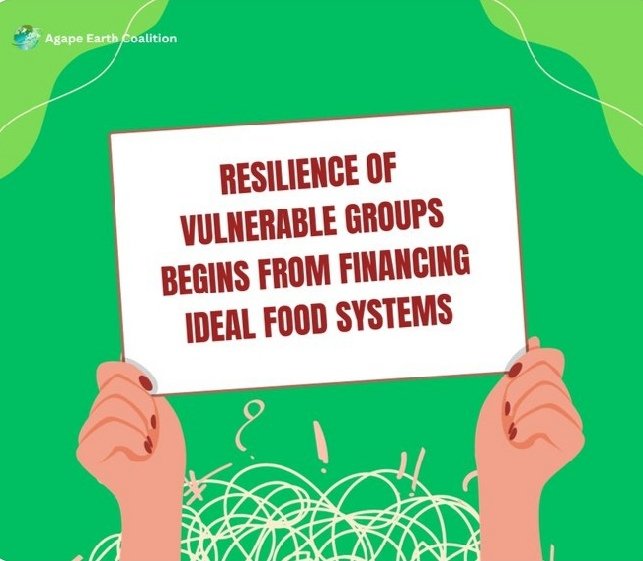 DJulienne1's tweet photo. Resilience of vulnerable groups begins from financing ideal food systems. 
@agape_earth 
#AdaptationInFocus 
#IMFWorldBankMeeting 
#COP28UAE
@up_tchad @Riseupmovt @OxfamauTchad @Oxfam https://t.co/sZXKBD2U25
