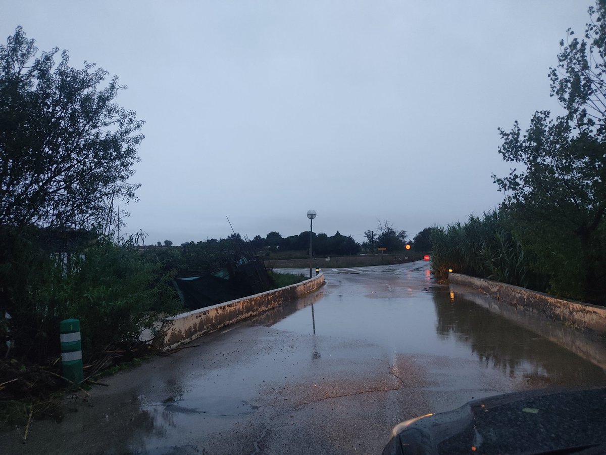 linose12's tweet photo. @AytoMostoles para cuando la limpieza de las zonas verdes y prohibición de los huertos ilegales. ¿Estamos esperando a que el puente se derrumbe como en otros municipios? ¿Así tenemos que ir a ver a nuestros seres queridos al tanatorio? https://t.co/8RcebKcp5D