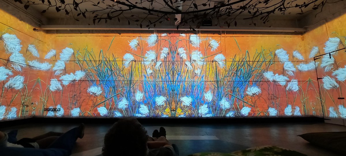 TinaClaffeyPhoto tweet media