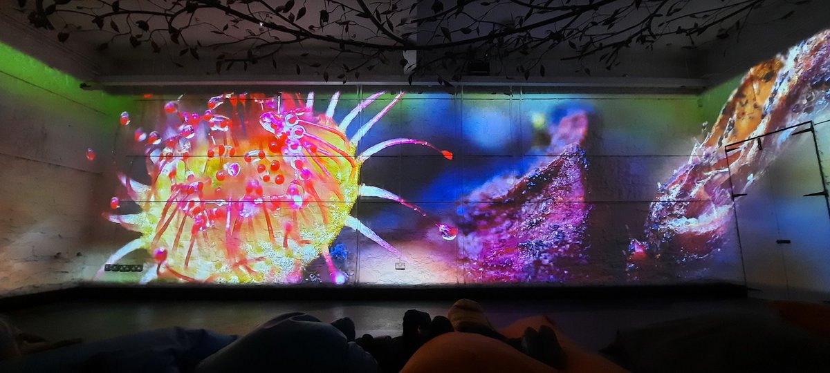 TinaClaffeyPhoto tweet media