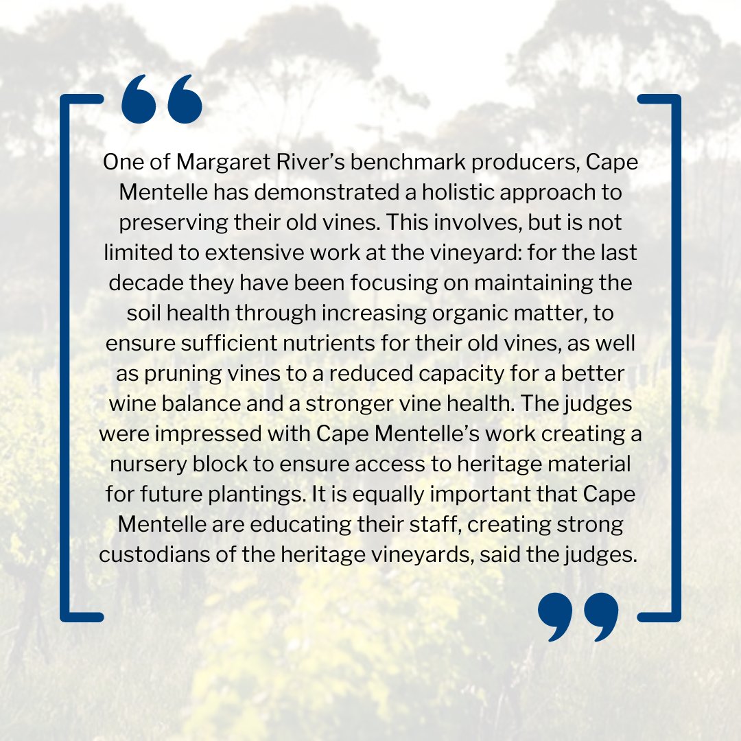 🏆⁠ Congratulations to Cape Mentelle, who received the IWSC 2023 Old Vine Trophy in partnership with @ouroldvines! We are proud to work with a prestigious winery with a strong commitment to sustainability. Get in touch to find out more. #capementelle #iwsc