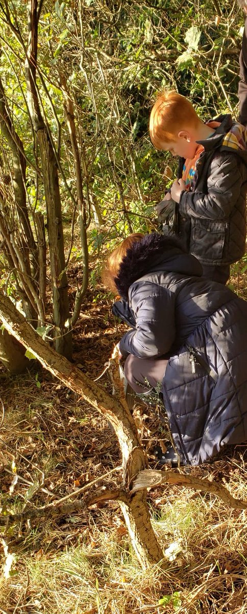 JMRushbub's tweet photo. @Class1Highpri WR had fun on his 'Autumn walk' as part of his homework. He noticed the weather was colder &amp; windy in the Autumn and the leaves turn, yellow, orange &amp; brown and fall off the trees along with acorns and pinecones! WR enjoyed collecting some pinecones. 🍂🍁 https://t.co/WEgWwl1ORm