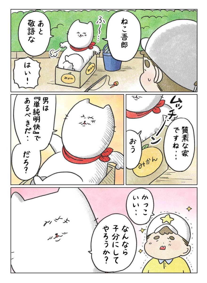 (2/6)